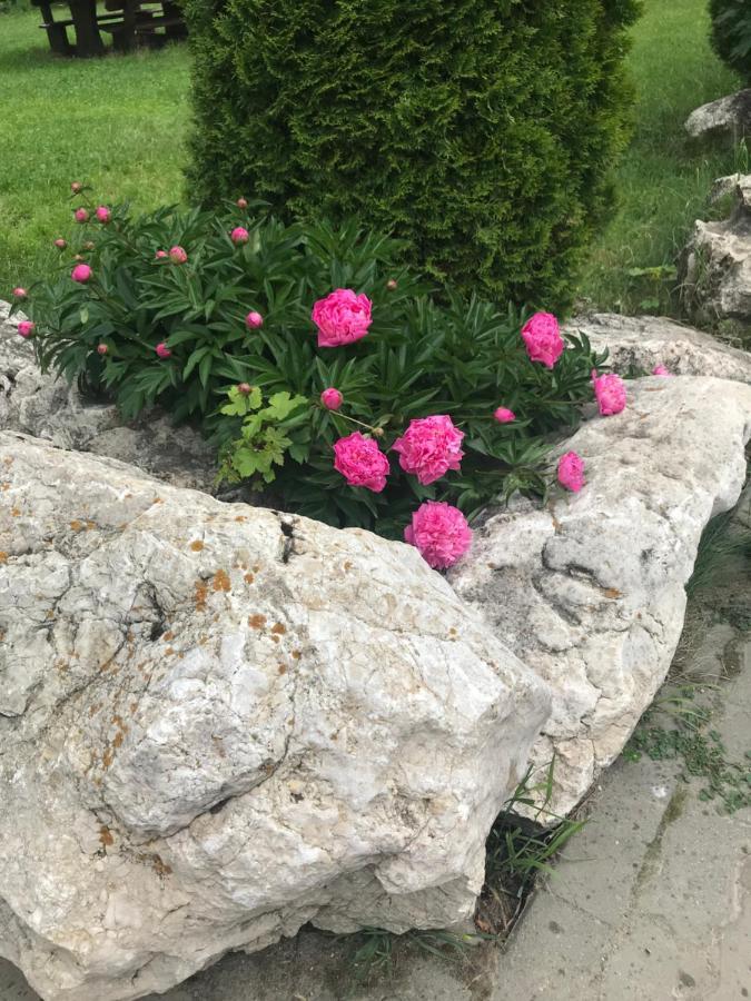 Vila Vraja Muntelui Moieciu de Jos Exteriér fotografie