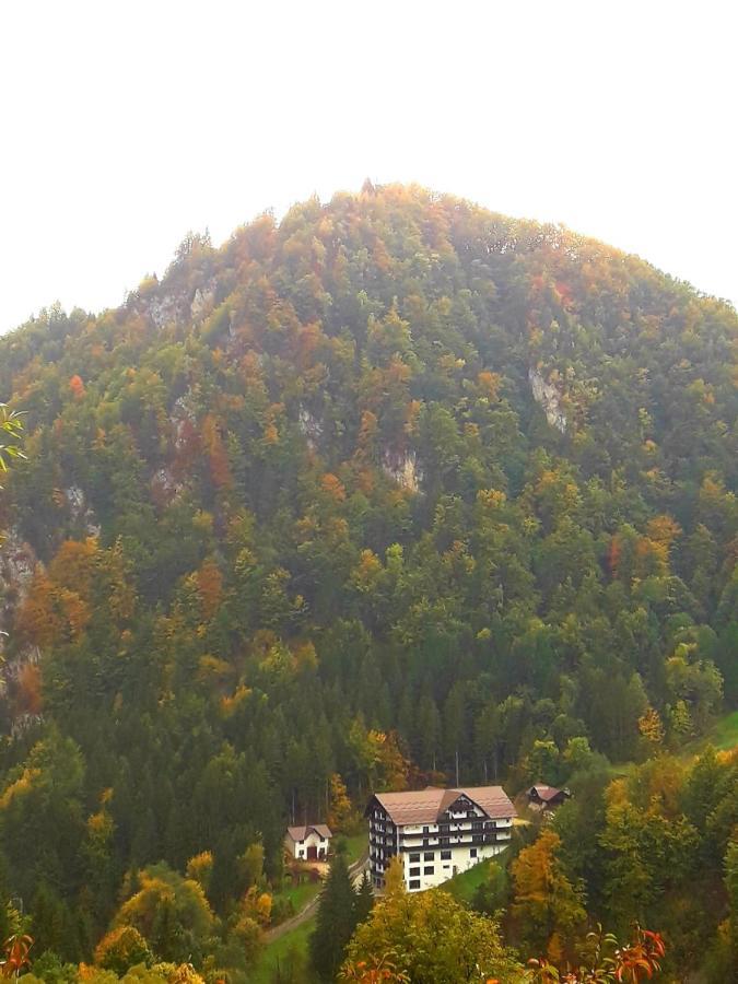 Vila Vraja Muntelui Moieciu de Jos Exteriér fotografie
