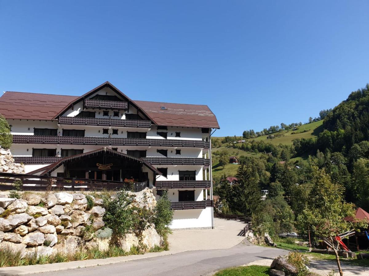 Vila Vraja Muntelui Moieciu de Jos Exteriér fotografie